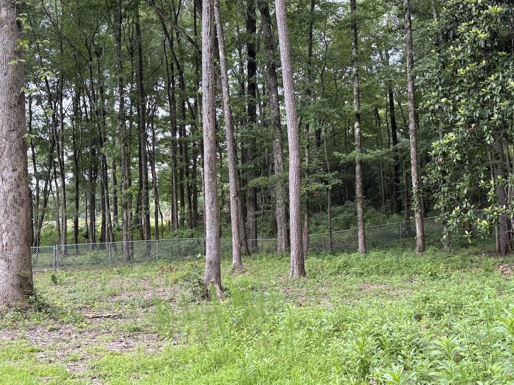 Chain Link Fences — fence contractor Birmingham, AL Chain Link Fences installed by Masters Fence Co in Birmingham, AL